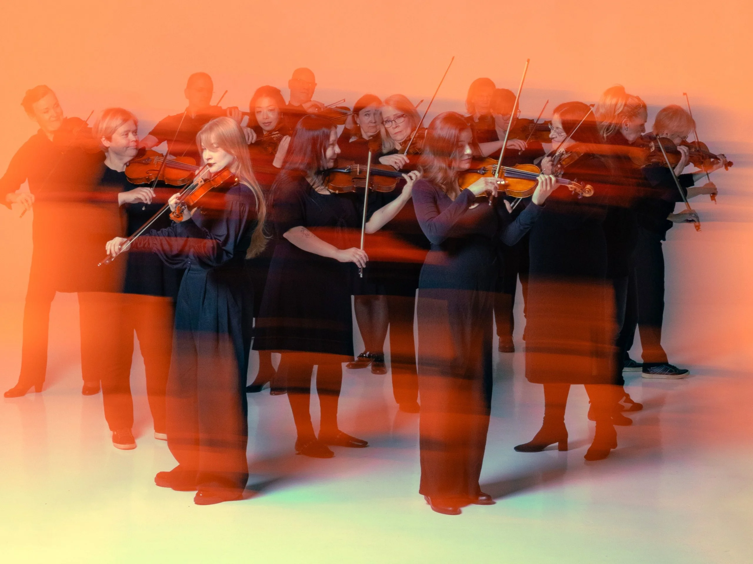 Noin 15 viulistia soittaa rykelmänä viulujaan.